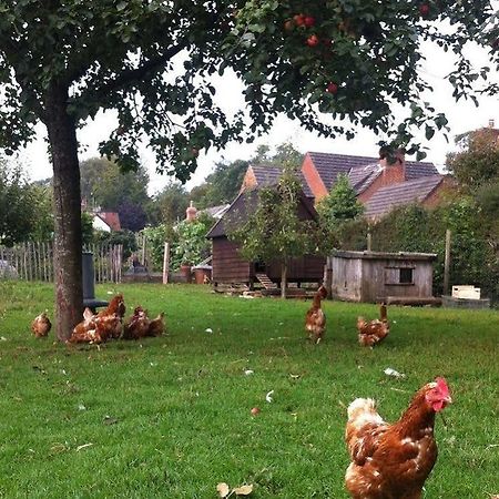Cider Cottages Burley Bagian luar foto