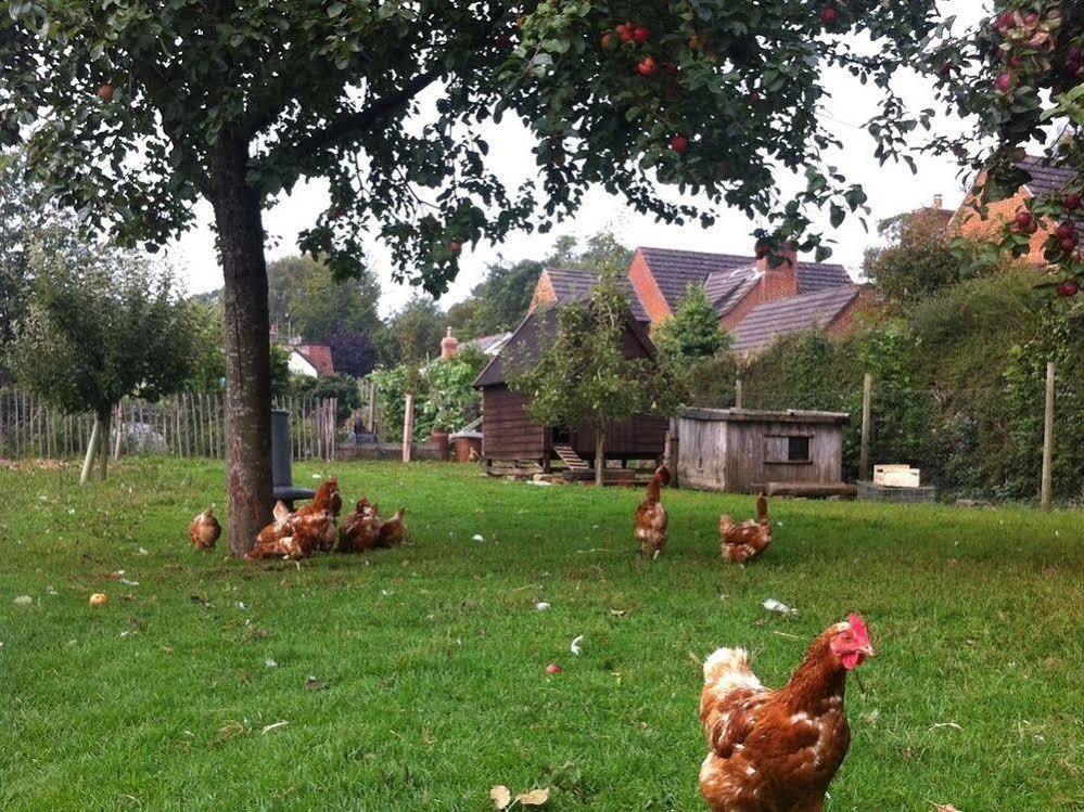 Cider Cottages Burley Bagian luar foto